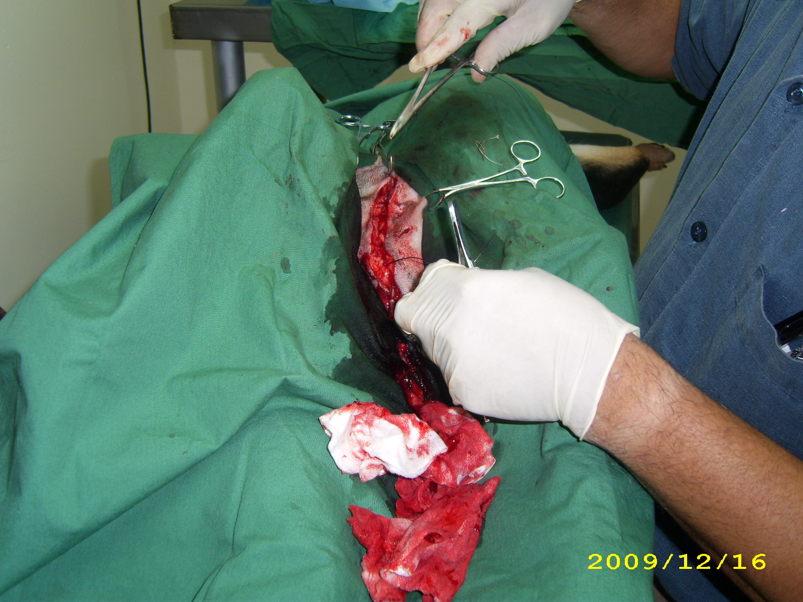 1261110606---qq (4).JPG